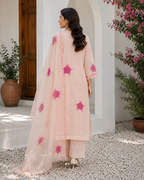 Laleh 3-Piece Stitched Suit 🌷