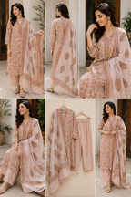 Nargis 3-Piece Stitched Suit 🌷