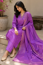 Lavanya 3-Piece Stitched Suit 💜